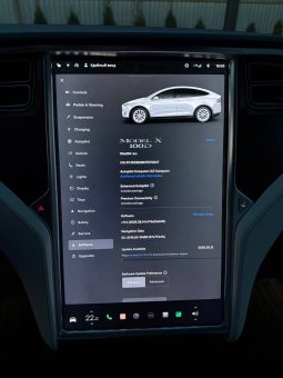 
TESLA MODEL X 100D, 2017 full									
