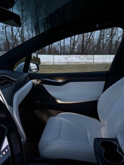 
TESLA MODEL X 100D, 2017 full									