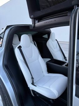 
TESLA MODEL X 100D, 2017 full									