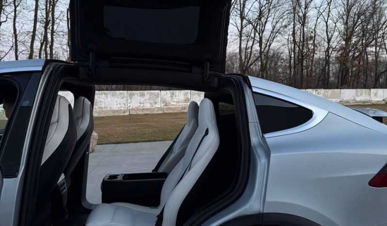 
TESLA MODEL X 100D, 2017 full									