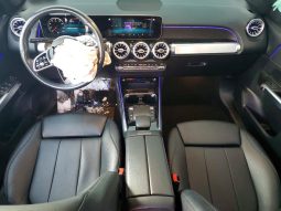 
MERCEDES-BENZ GLB 250 4MATIC, 2021 (2020) full									