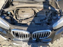 
BMW X1 XDRIVE28I, 2018 (2017) full									
