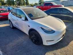
TESLA MODEL Y LR DM, 2020 full									