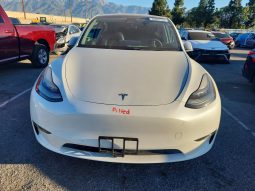 
TESLA MODEL Y LR DM, 2020 full									