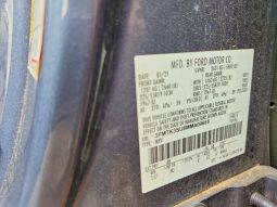 
FORD MUSTANG MACH-E PREMIUM, 2021 full									