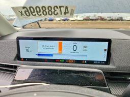 
FORD MUSTANG MACH-E PREMIUM, 2021 full									