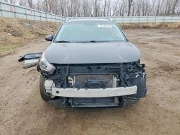 
KIA NIRO LX, 2019 full									