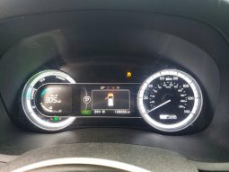 
KIA NIRO LX, 2019 full									