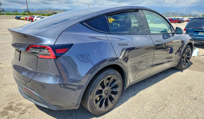 
TESLA MODEL Y LR DM, 2021 full									