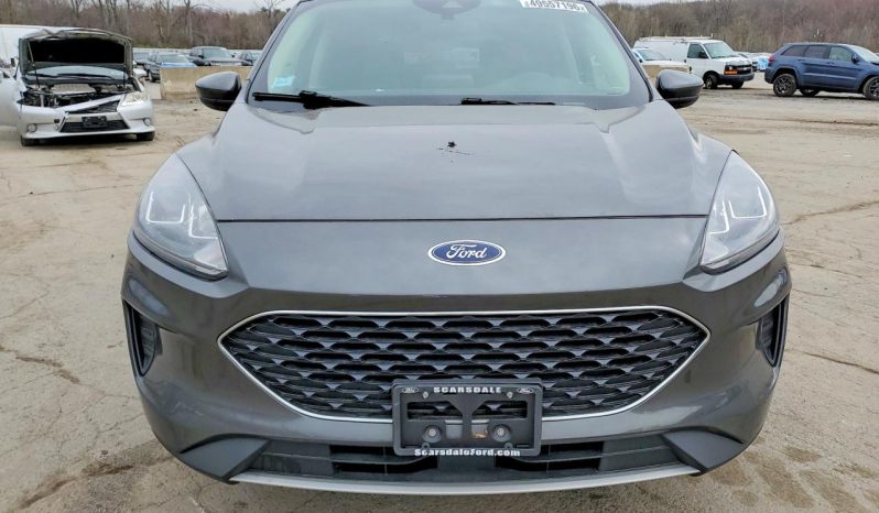 
FORD ESCAPE SE, 2020 full									