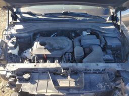 
HYUNDAI SANTA FE SE, 2019 full									