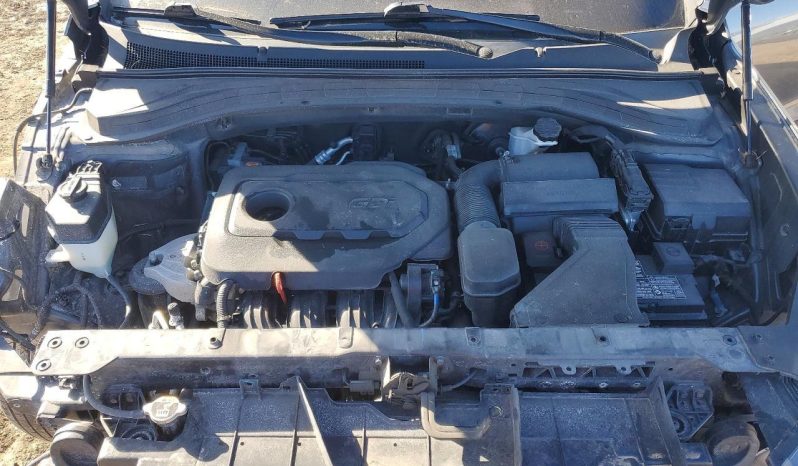 
HYUNDAI SANTA FE SE, 2019 full									