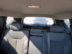 
HYUNDAI SANTA FE SEL, 2019 (2018) full									