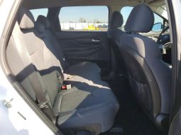 
HYUNDAI SANTA FE SEL, 2019 (2018) full									