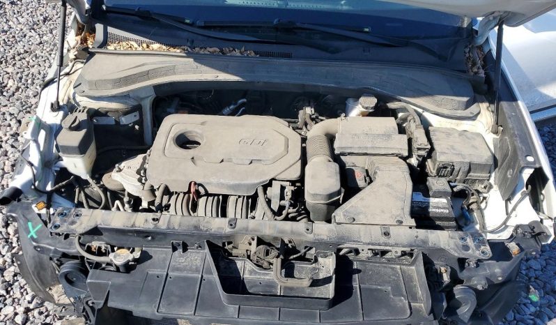 
HYUNDAI SANTA FE SEL, 2019 (2018) full									