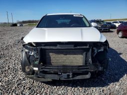 
HYUNDAI SANTA FE SEL, 2019 (2018) full									