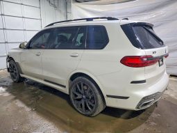 BMW X7 XDRIVE50I, 2019