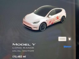 
TESLA MODEL Y LR DM, 2021 (2020) full									
