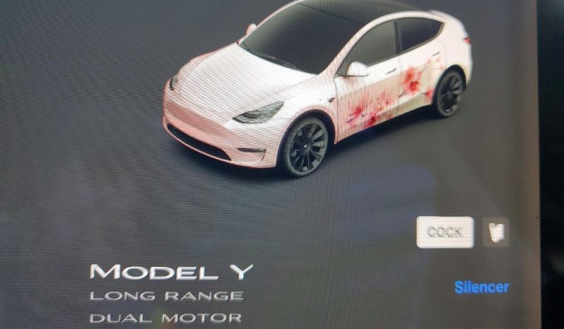 
TESLA MODEL Y LR DM, 2021 (2020) full									