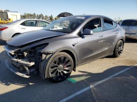 TESLA MODEL Y PERFORMANCE, 2022 (2021)