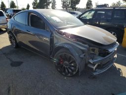 TESLA MODEL Y PERFORMANCE, 2022 (2021)