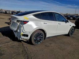 
TESLA MODEL Y LR DM, 2021 (2020) full									