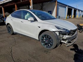 TESLA MODEL Y LR DM, 2021 (2020)