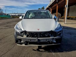 
TESLA MODEL Y LR DM, 2021 (2020) full									