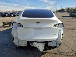 
TESLA MODEL Y LR DM, 2021 (2020) full									