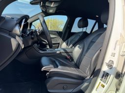 
MERCEDES-BENZ GLC 300, 2020 (2019) full									