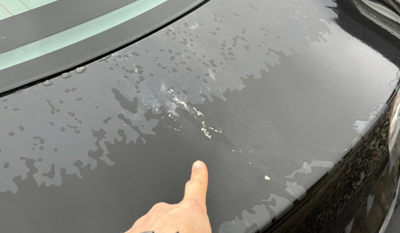 
TESLA MODEL 3 SR+ RWD, 2020 (2019) full									