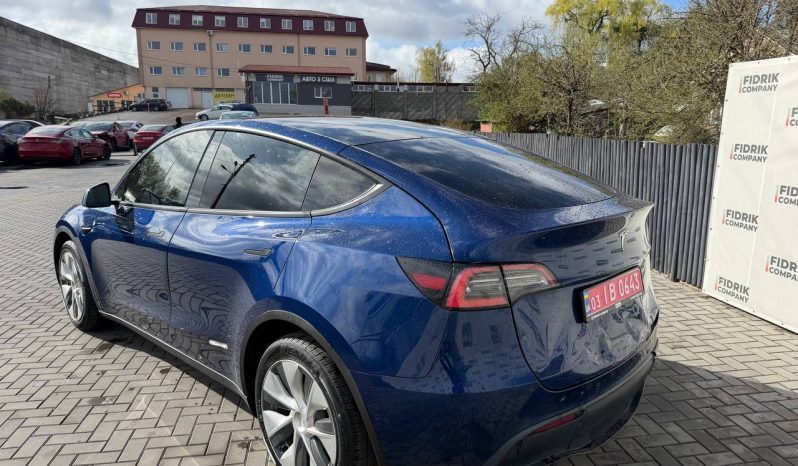 
TESLA MODEL Y LR DM, 2021 (2020) full									