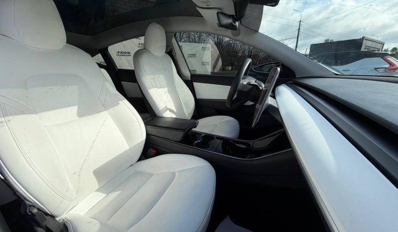 
TESLA MODEL Y LR DM, 2021 (2020) full									