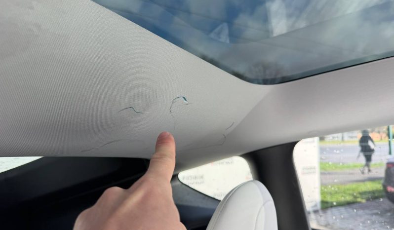 
TESLA MODEL Y LR DM, 2021 (2020) full									