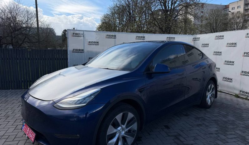 
TESLA MODEL Y LR DM, 2023 (2022) full									