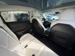 
TESLA MODEL Y LR DM, 2023 (2022) full									