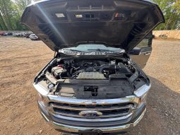 
FORD F150 XLT, 2021 full									