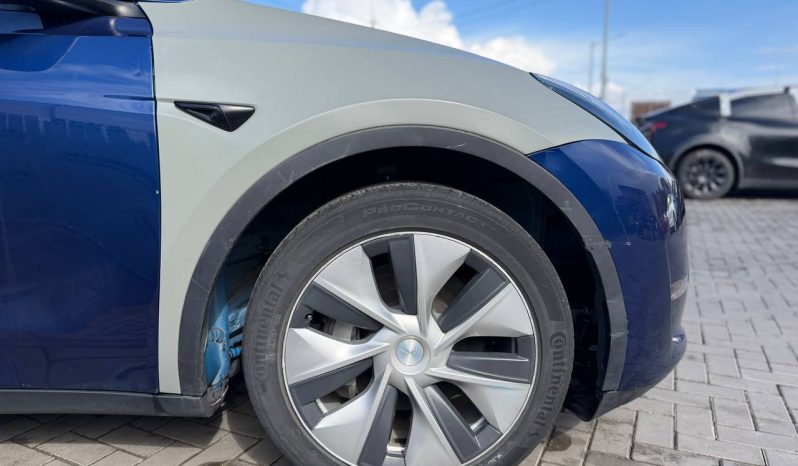 
TESLA MODEL Y LR DM, 2023 (2022) full									