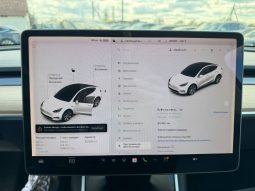 
TESLA MODEL Y LR DM, 2020 full									