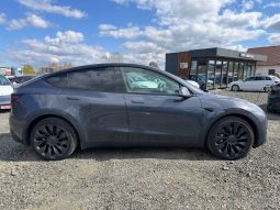 
TESLA MODEL Y LR DM, 2021 full									