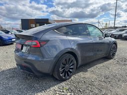 TESLA MODEL Y LR DM, 2021