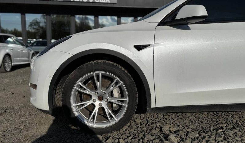 
TESLA MODEL Y LR DM, 2020 full									