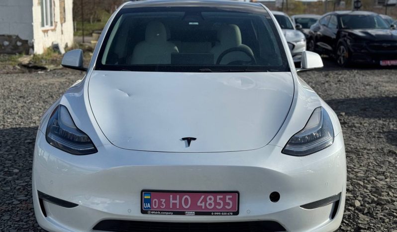 
TESLA MODEL Y LR DM, 2020 full									