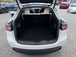 
TESLA MODEL Y LR DM, 2021 (2020) full									