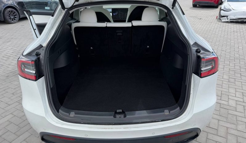 
TESLA MODEL Y LR DM, 2021 (2020) full									