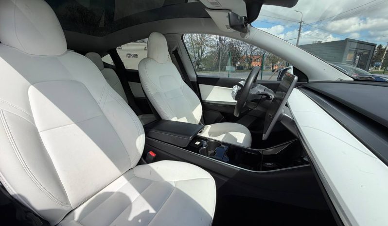 
TESLA MODEL Y LR DM, 2021 (2020) full									