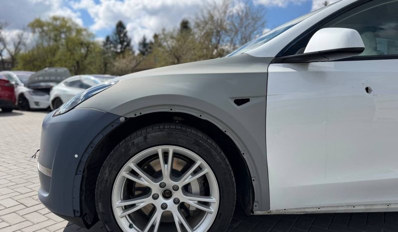 
TESLA MODEL Y LR DM, 2021 (2020) full									