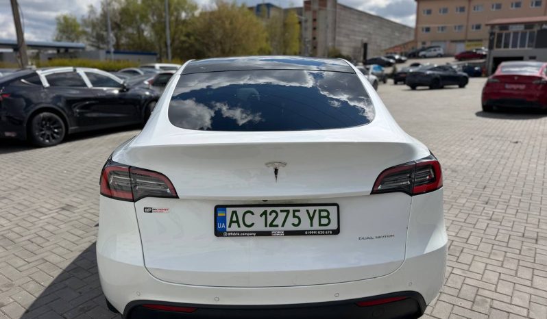 
TESLA MODEL Y LR DM, 2021 (2020) full									