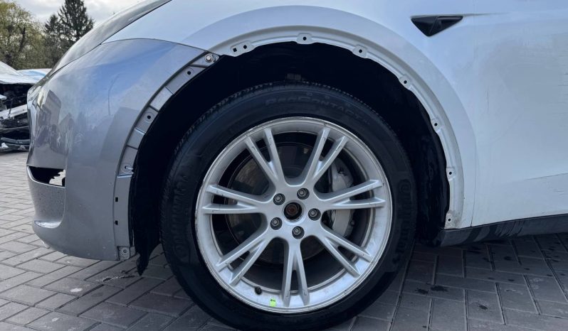 
TESLA MODEL Y LR DM, 2023 (2022) full									