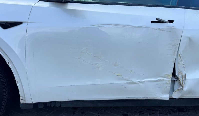 
TESLA MODEL Y LR DM, 2023 (2022) full									